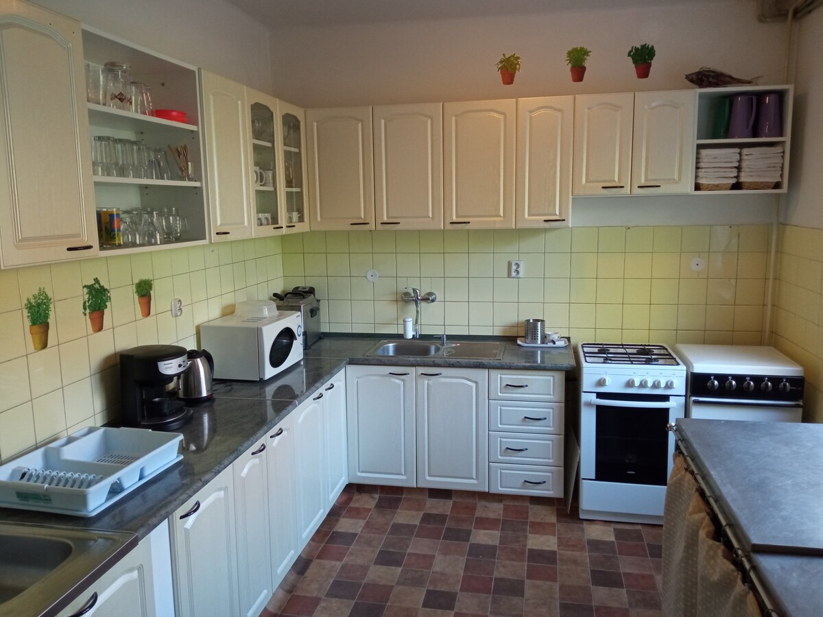 Iba u nás! Pekný penzión na predaj v Patinciach — foto 4