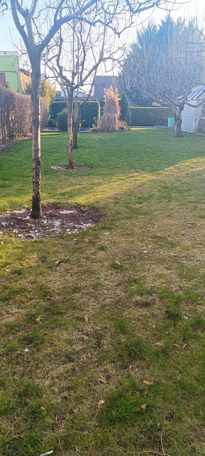 Na predaj stavebný pozemok v Nových Zámkoch — foto 3