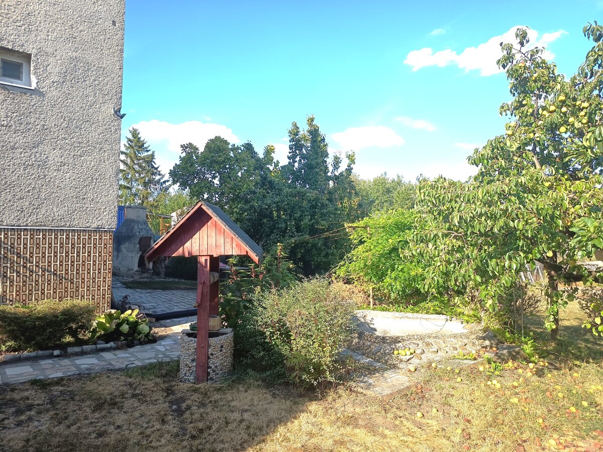Na predaj 5 izbový rodinný dom so záhradou v obci Bánov — foto 10