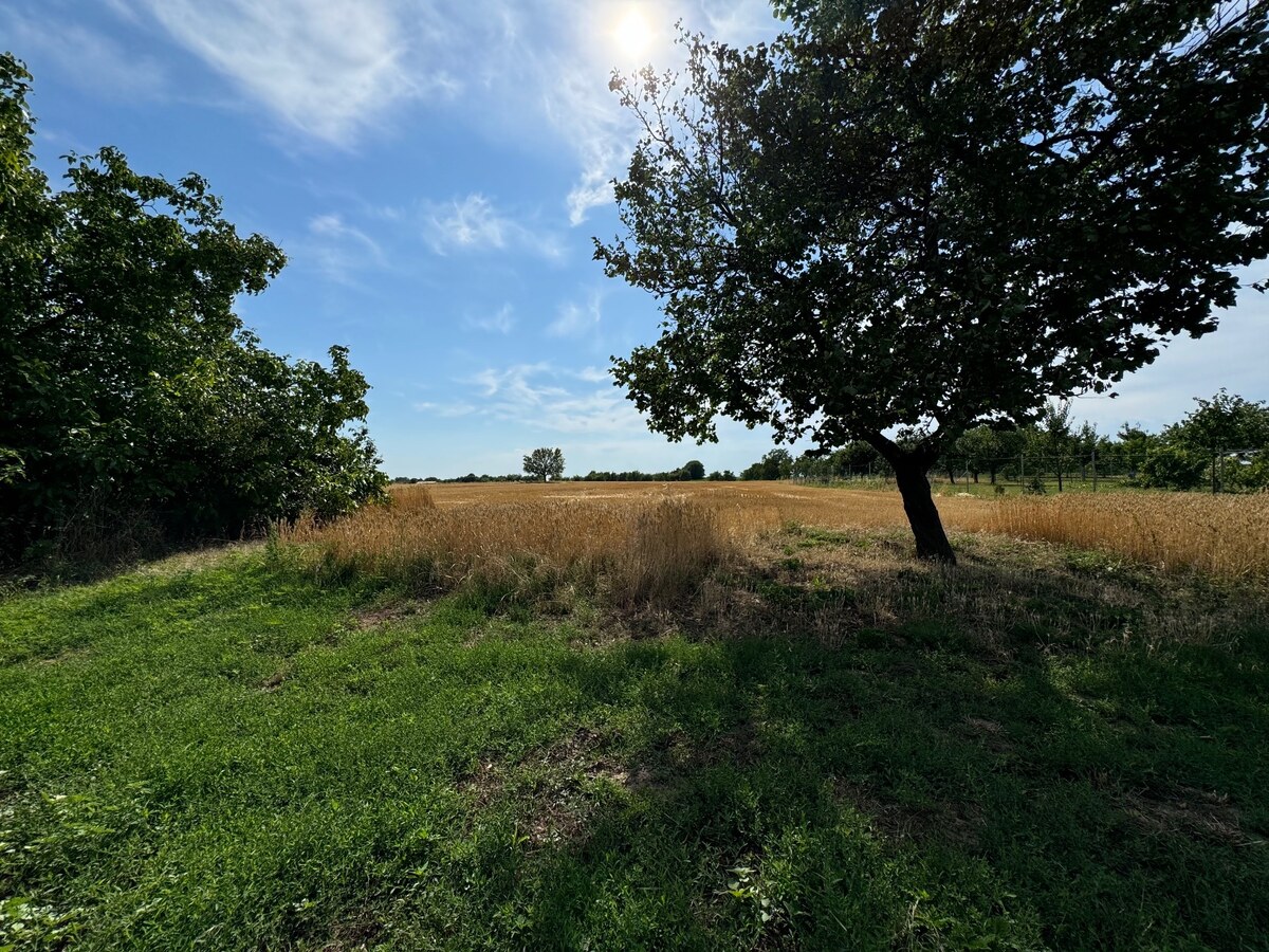 Predáme 3 izb. dom s veľkým pozemkom- Radava — foto 13