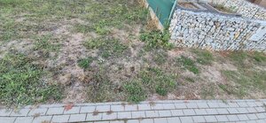 Pri Podhájskej a PREDAJ výborný stavebný pozemok 924m2  BARDOŇOVO *** — foto 11