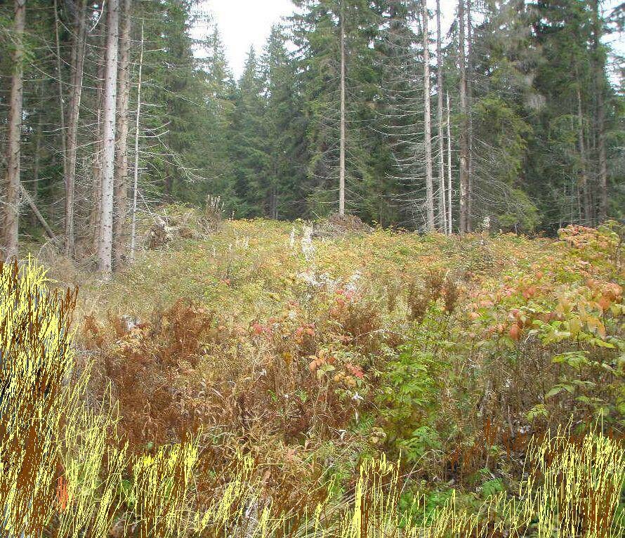 Ponúkame na predaj investičný pozemok mimo TANAPu - Vysoké Tatry — foto 4