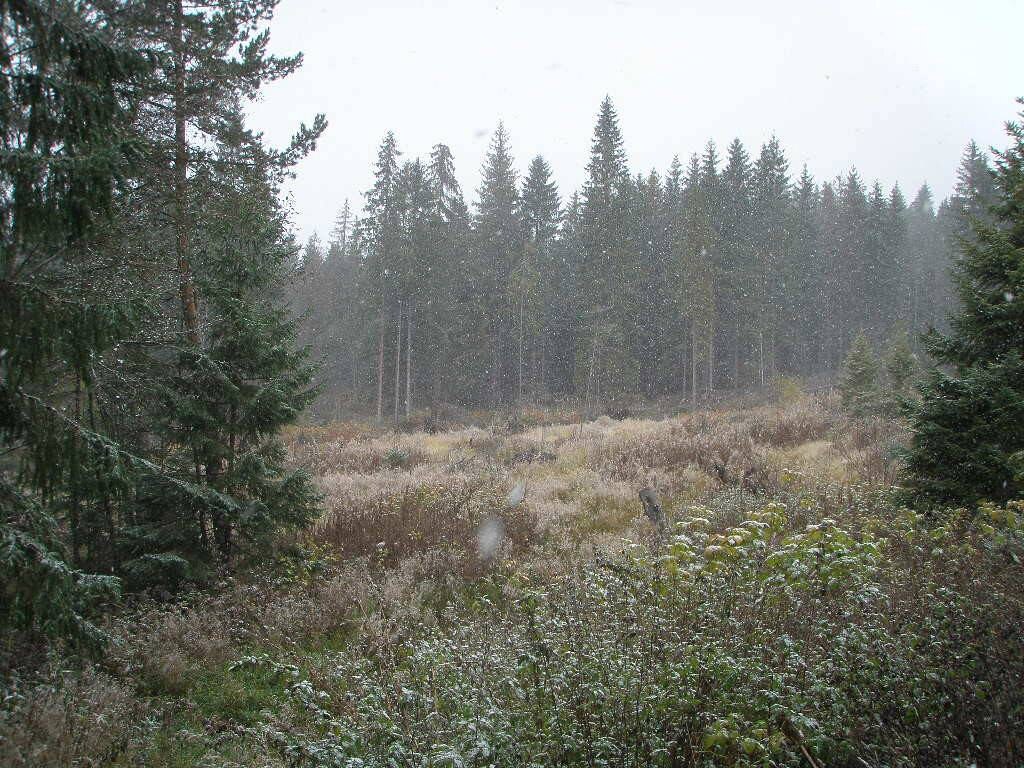 Ponúkame na predaj investičný pozemok mimo TANAPu - Vysoké Tatry — foto 6