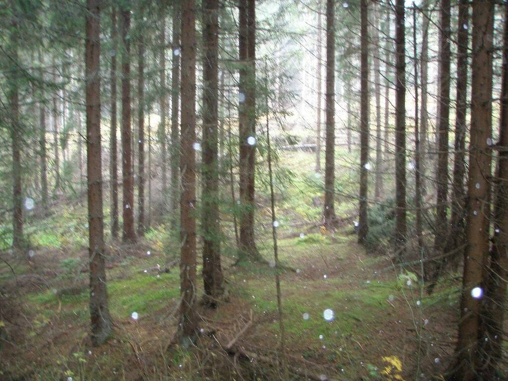 Ponúkame na predaj investičný pozemok mimo TANAPu - Vysoké Tatry — foto 7