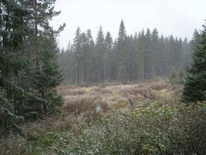 Ponúkame na predaj investičný pozemok mimo TANAPu - Vysoké Tatry — foto 6