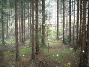 Ponúkame na predaj investičný pozemok mimo TANAPu - Vysoké Tatry — foto 7