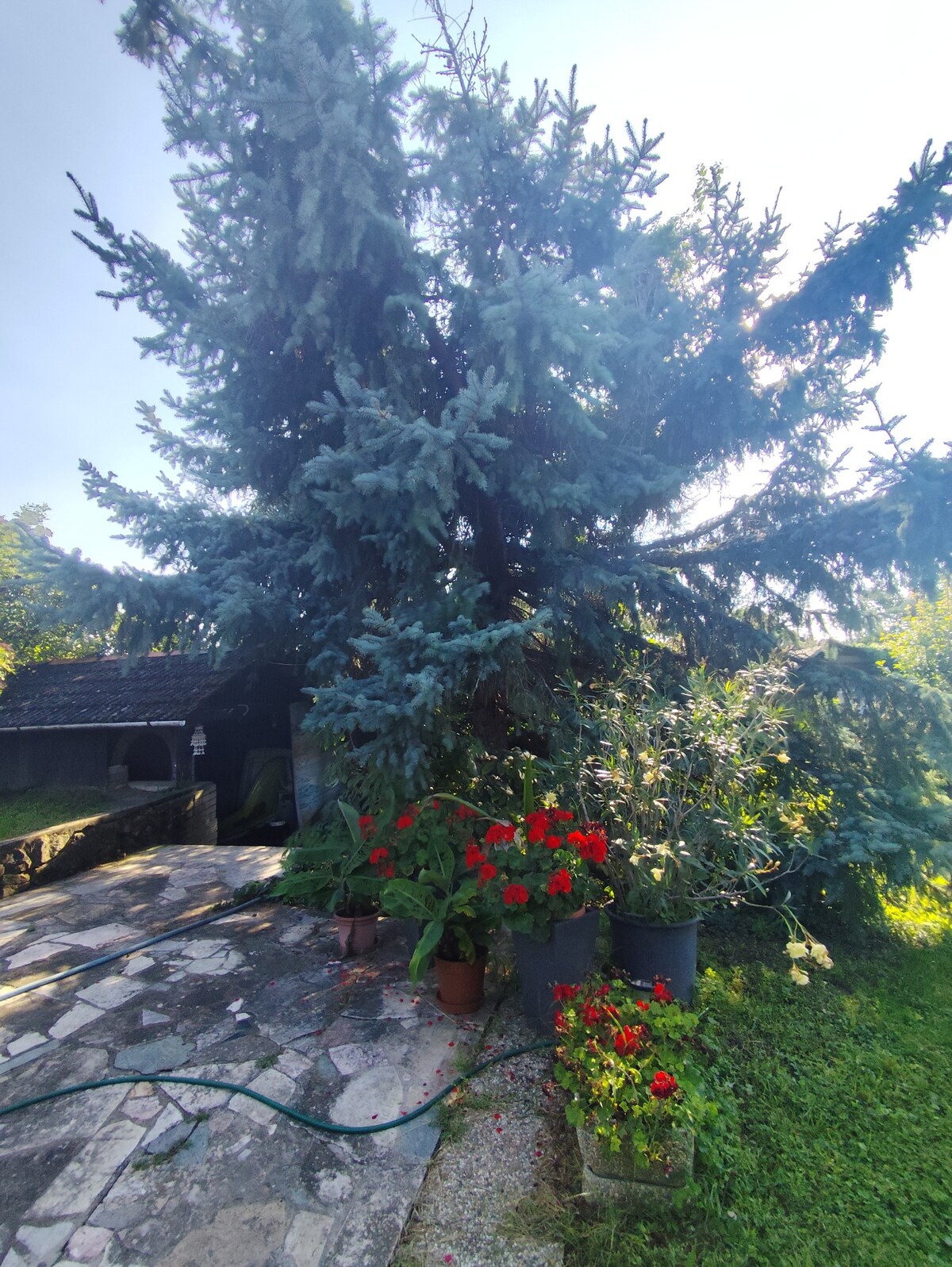 Ponúkame na predaj vidiecky domček - Jasová — foto 11