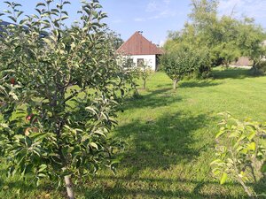 Ponúkame na predaj vidiecky domček - Jasová — foto 10