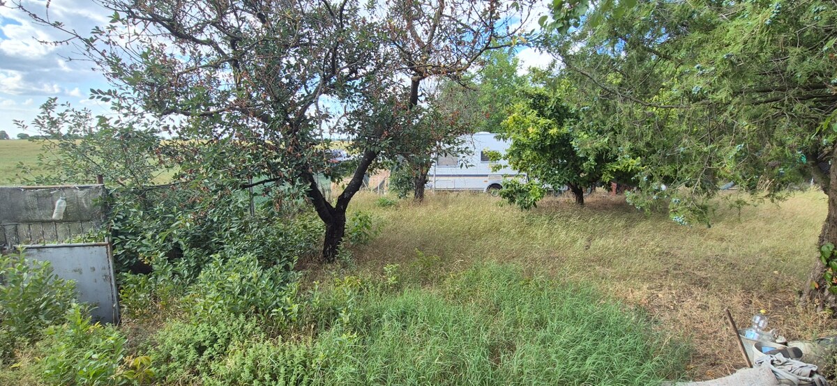 Na predaj záhrada v Nových Zámkoch - 379 m2 s prístreškom — foto 8