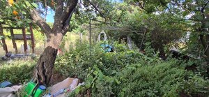 Na predaj záhrada v Nových Zámkoch - 379 m2 s prístreškom — foto 9