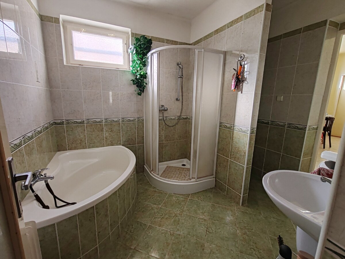 Na predaj slušný 5 izbový rodinný dom v obci Bruty s pozemkom 2425m2 — foto 12