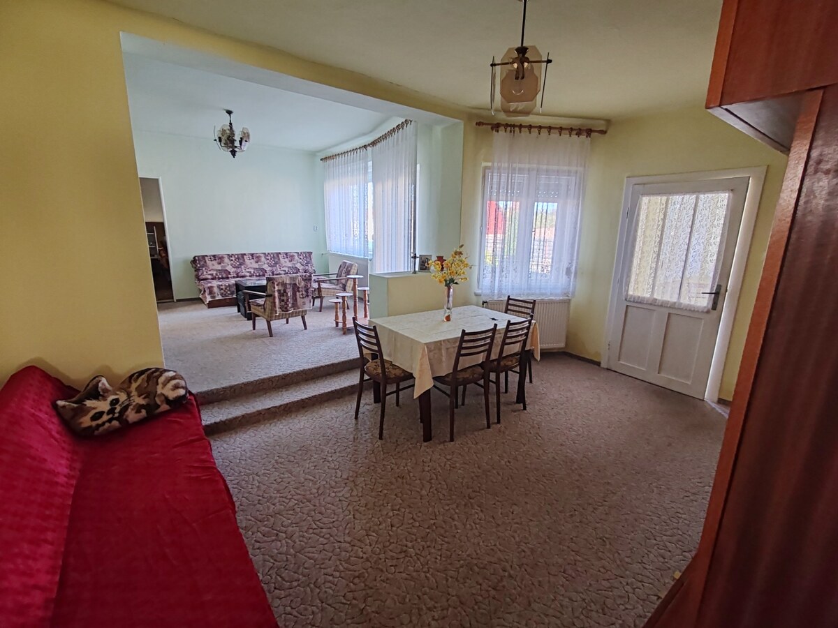 Na predaj slušný 5 izbový rodinný dom v obci Bruty s pozemkom 2425m2 — foto 5
