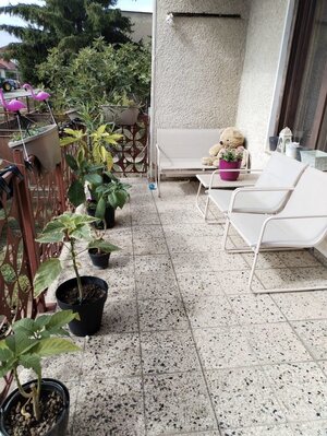 Predám 5 izbový rodinný dom- Veľké Ludince — foto 9