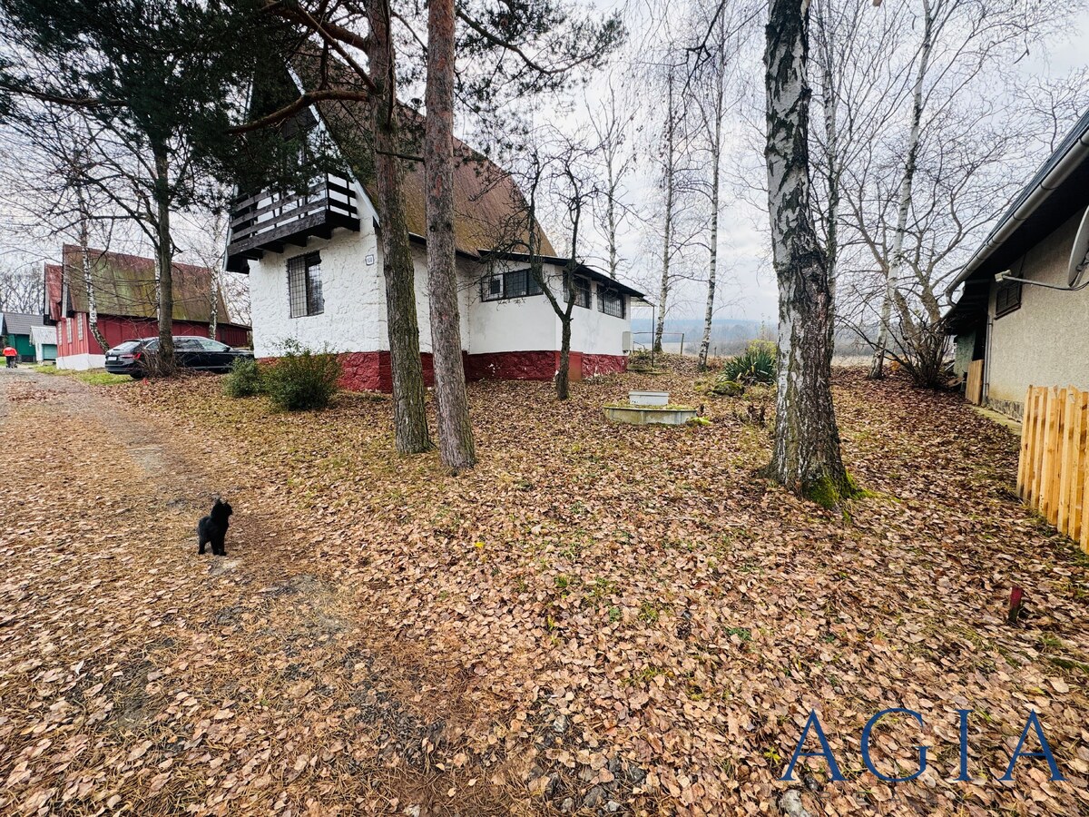 Celoročne obývateľna chata s terasou a krbom na Predaj, blízko Trebišova a Košíc | BYŠTA — foto 3