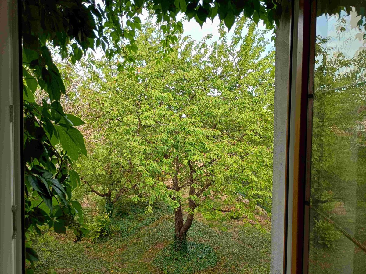 Predaj rodinný dom ,Šuty , Bratislava Vajnory — foto 24
