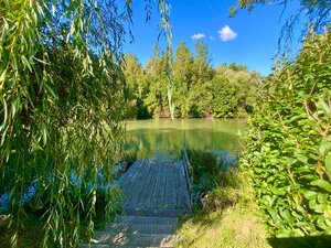 ASSENZIO – predaj rekreačnej chaty s pozemkom priamo pri Malom Dunaji — foto 5