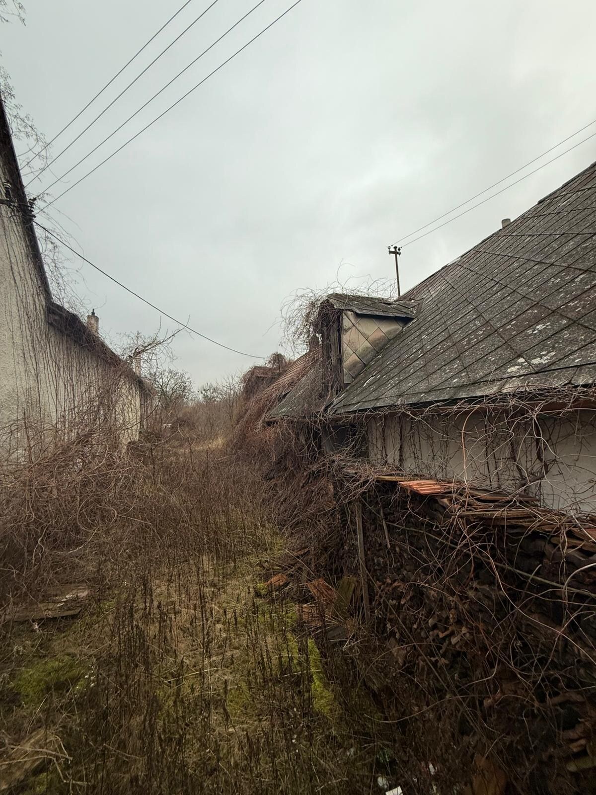 ASSENZIO PROPERTY ponúka na predaj  pozemok na Istrijskej ulici — foto 5