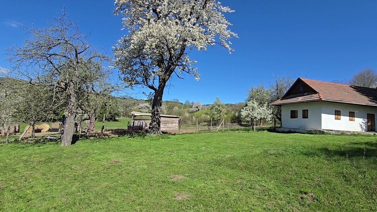 HD REALITY, predaj, rodinného domu v obci Stará Huta — foto 2