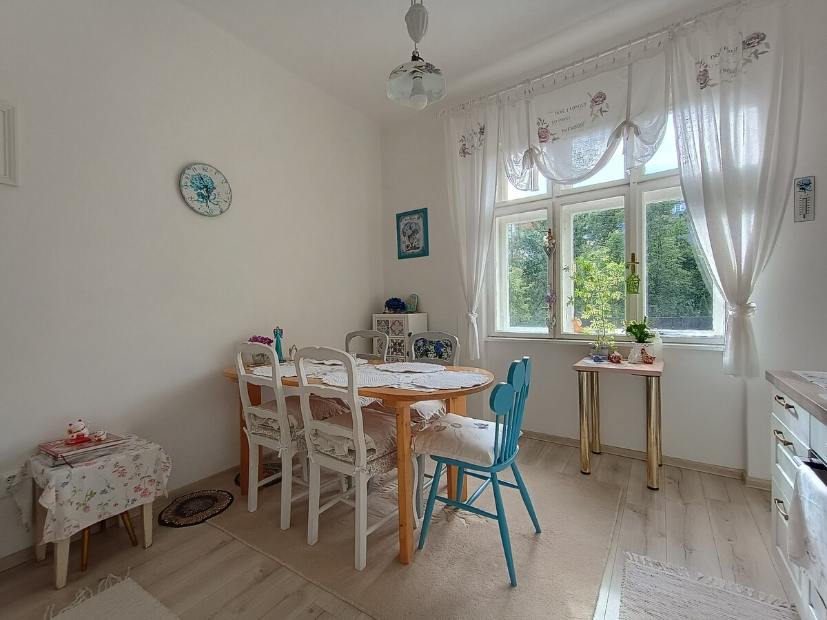 HD REALITY, predaj,  4-izbový byt so záhradou, Žilina centrum — foto 23