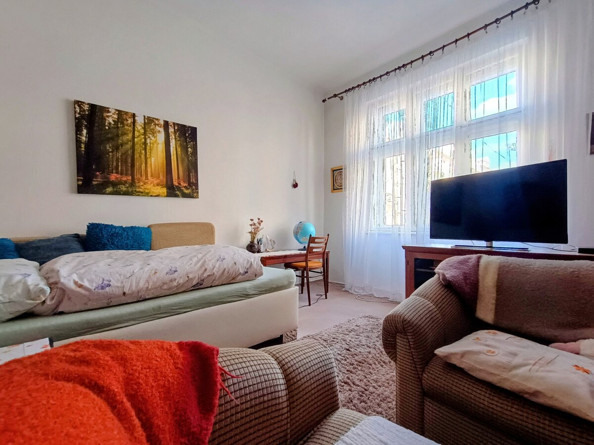 HD REALITY, predaj,  4-izbový byt so záhradou, Žilina centrum — foto 6
