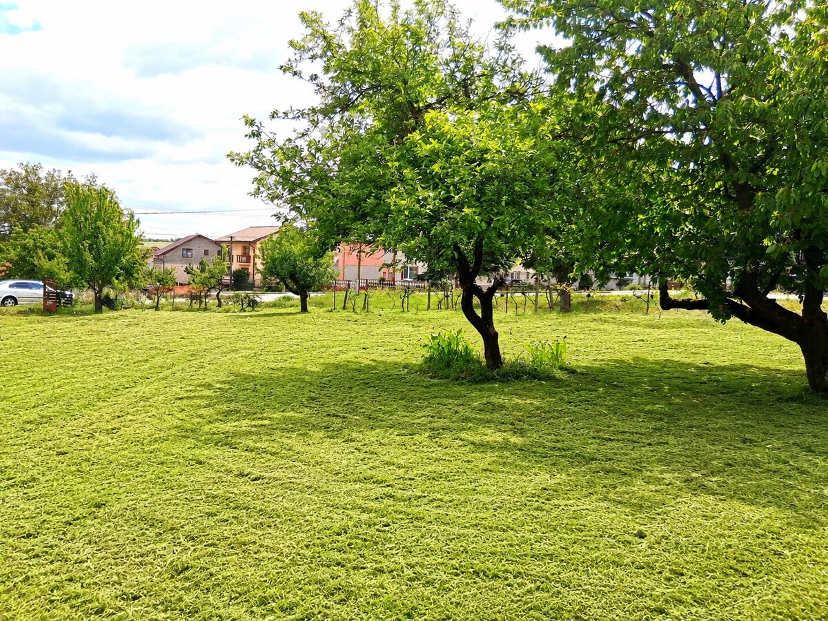 HD REALITY, predaj , Rodinný dom v obci Sebechleby — foto 14