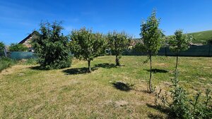 HD REALITY, Predaj rodinný dom Demandice, okres Levice — foto 20
