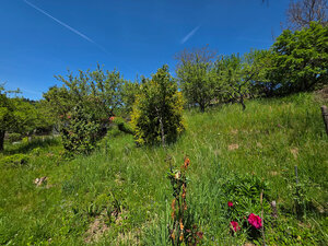 HD reality, predaj, rodinný dom Banky — foto 31