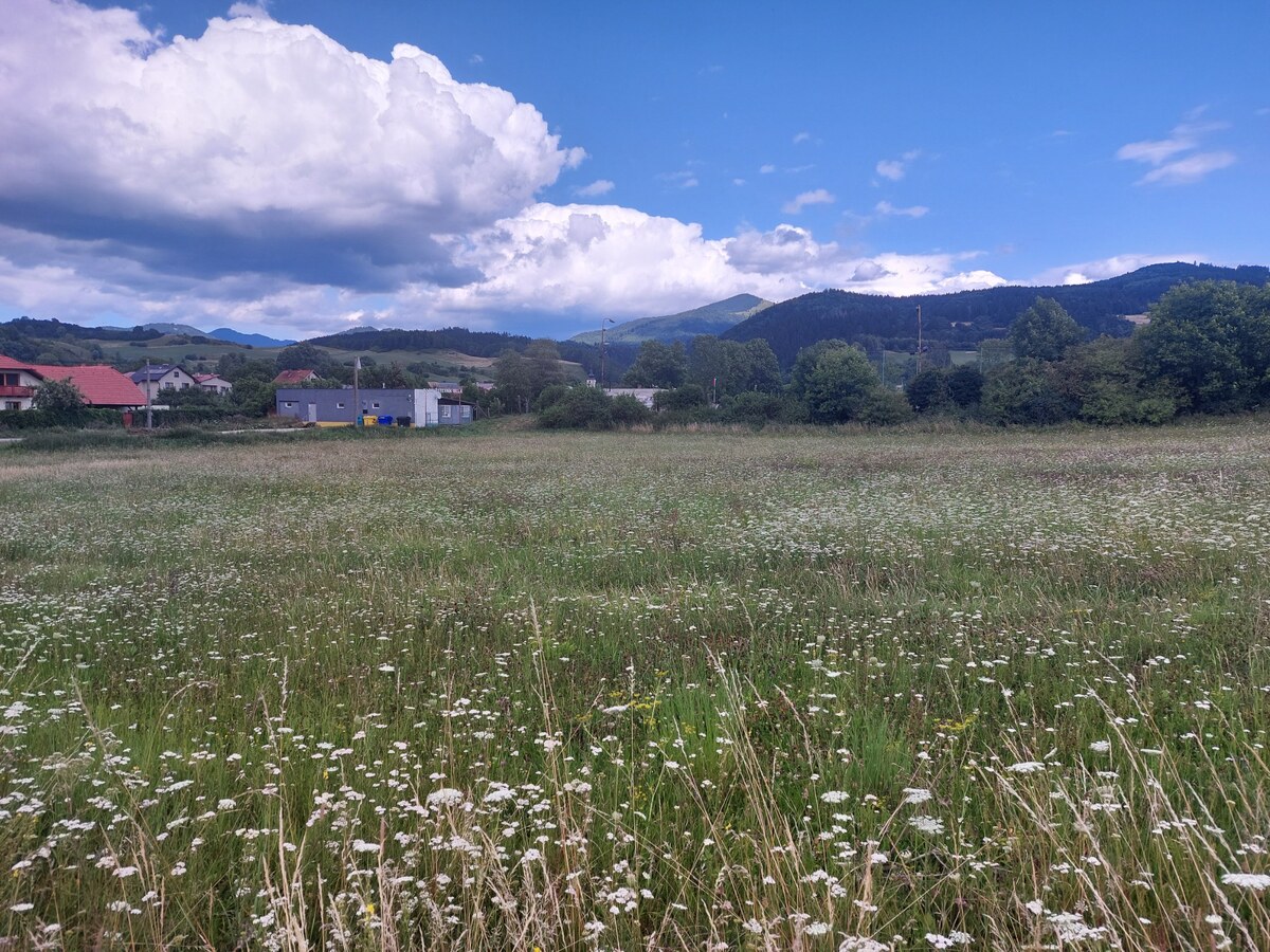 HD REALITY, na predaj pozemok v obci Belá-Dulice. — foto 2