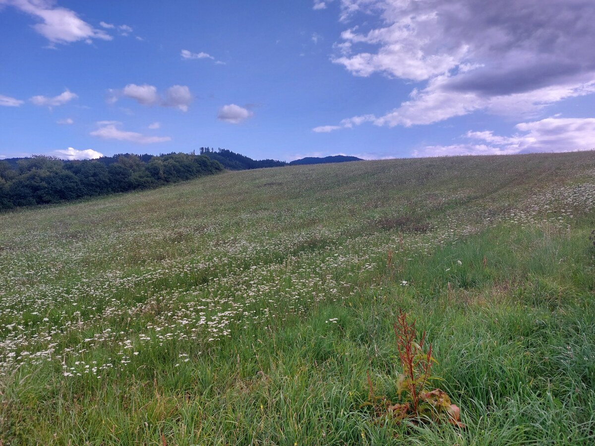 HD REALITY, na predaj pozemok v obci Belá-Dulice. — foto 3