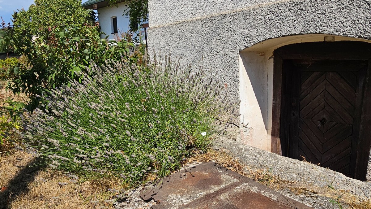 HD REALITY, predaj, rodinný dom v obci Vysoká pri Banskej Štiavnici — foto 28