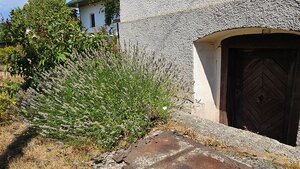 HD REALITY, predaj, rodinný dom v obci Vysoká pri Banskej Štiavnici — foto 28