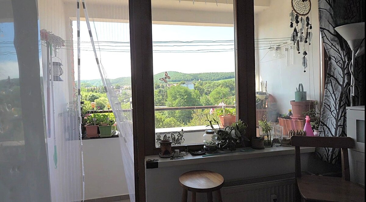 HD REALITY, predaj dvojizbový byt  vo Zvolene — foto 13