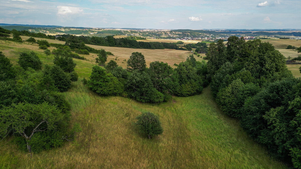 HD REALITY, predaj , rekreačný pozemok v širšom okolí mesta Krupina — foto 6
