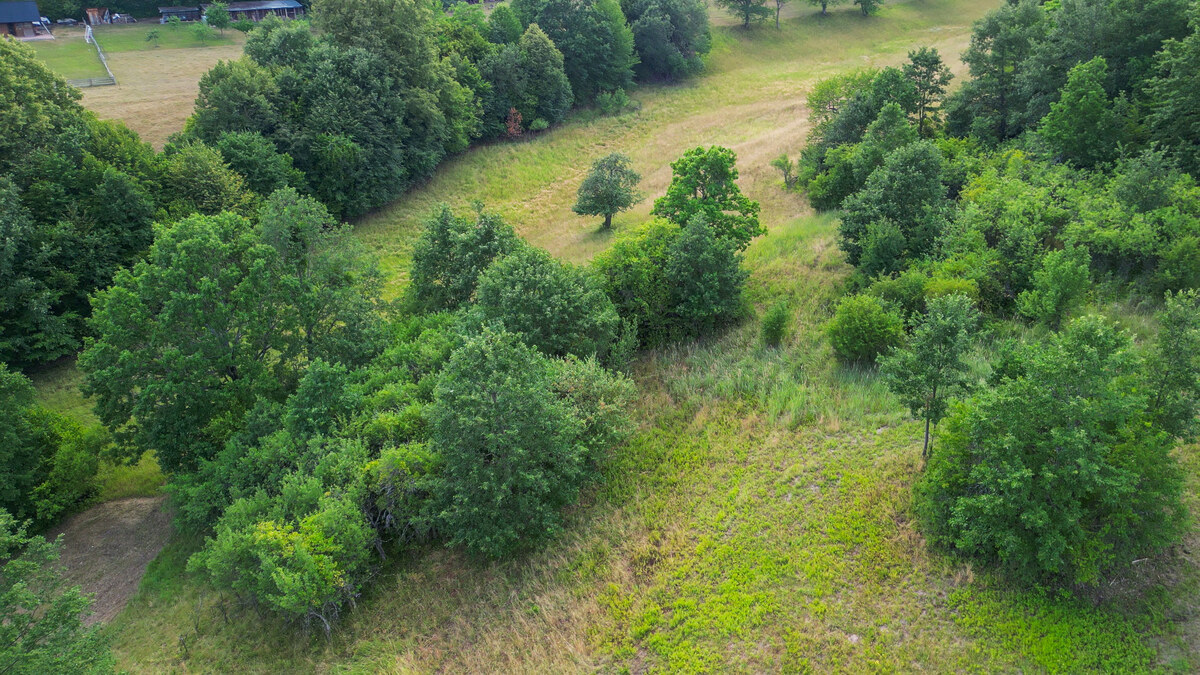 HD REALITY, predaj , rekreačný pozemok v širšom okolí mesta Krupina — foto 7