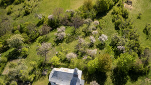 HD REALITY, predaj, pozemok v obci Počúvadlo, Štiavnické vrchy — foto 4