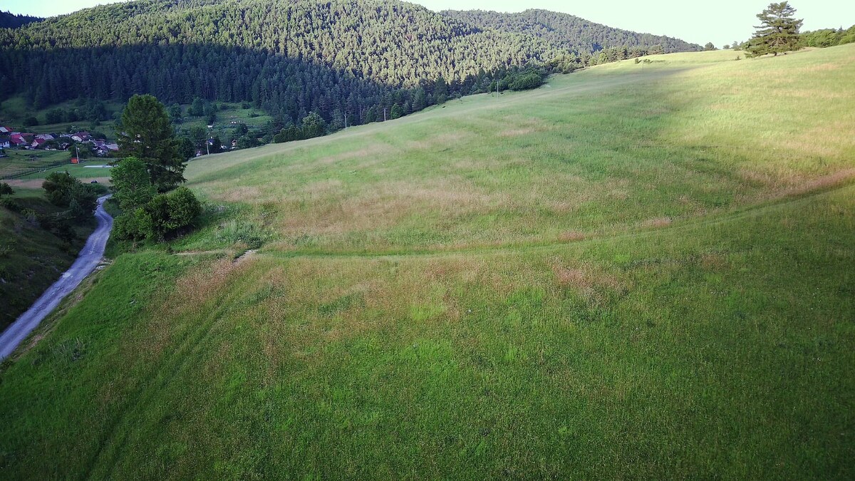 HD REALITY, predaj, pozemok v obci Breštie. — foto 3