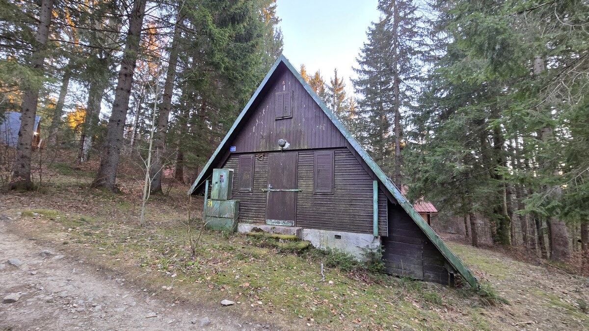 HD REALITY, predaj, rekreačná chata na Krpáčove — foto 3