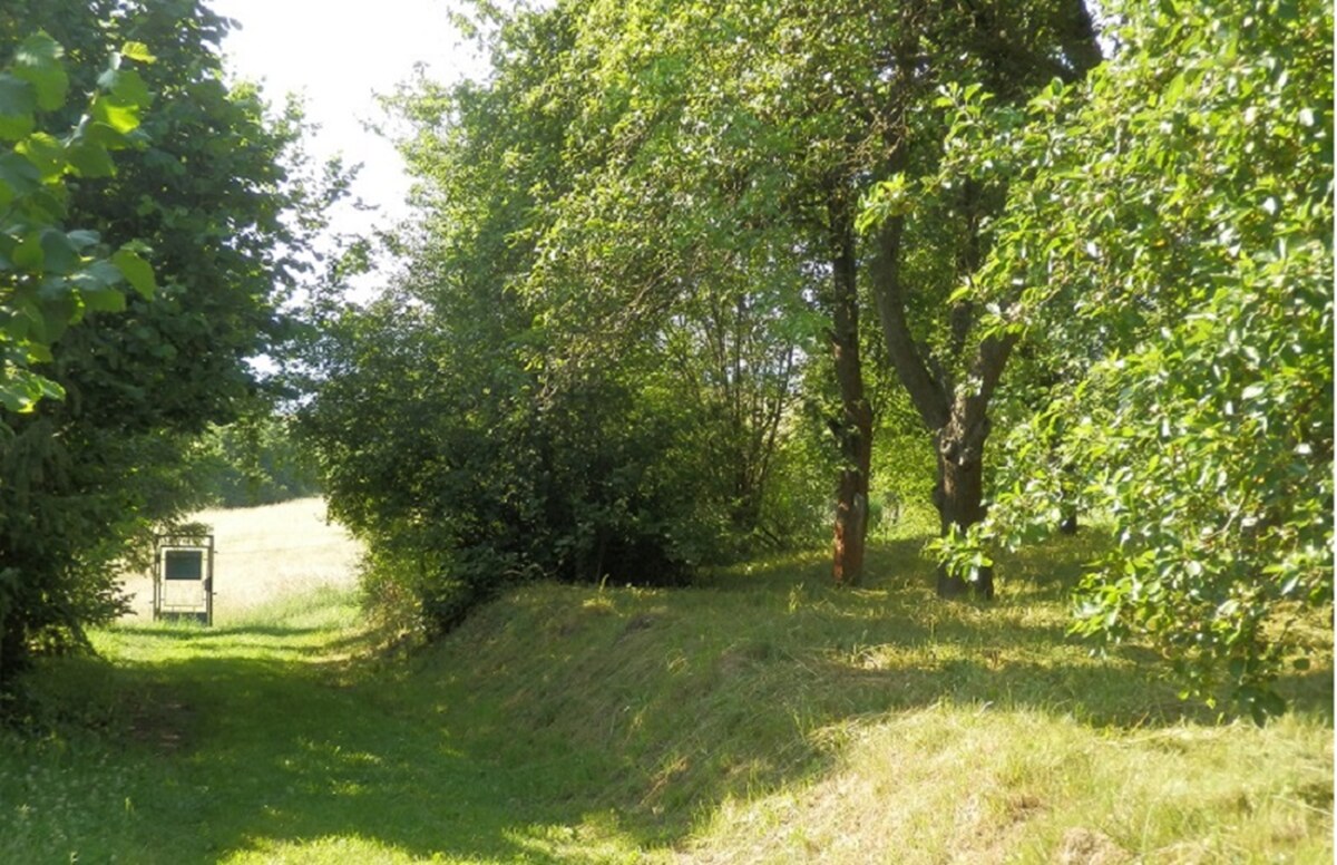 HD REALITY, Predaj, pozemok v meste Zvolen, chatárska oblasť — foto 2