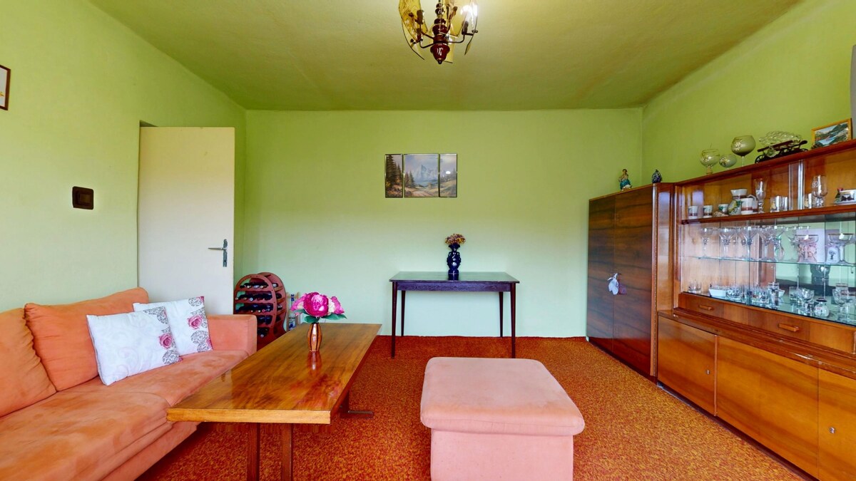 HD REALITY, Predaj, rodinný dom s veľkým pozemkom v obci Brhlovce — foto 19