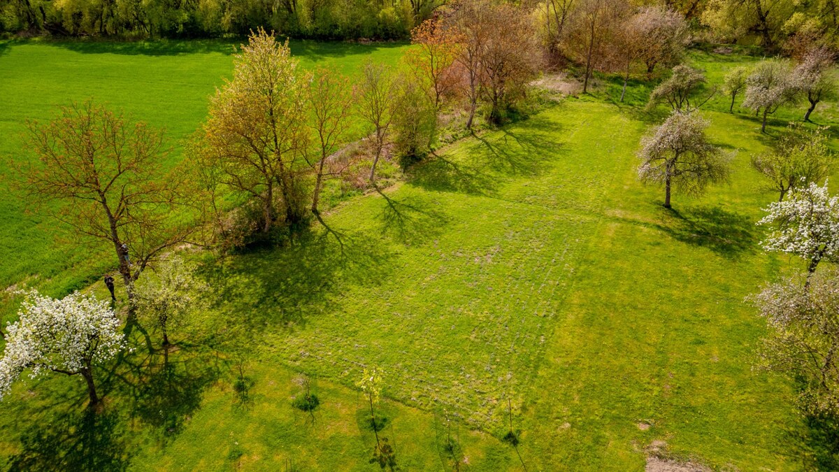 HD REALITY, predaj, pozemok v intraviláne obce Voznica — foto 9