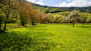HD REALITY, predaj, pozemok v intraviláne obce Voznica — foto 5