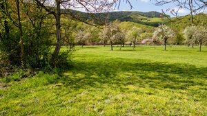 HD REALITY, predaj, pozemok v intraviláne obce Voznica — foto 8