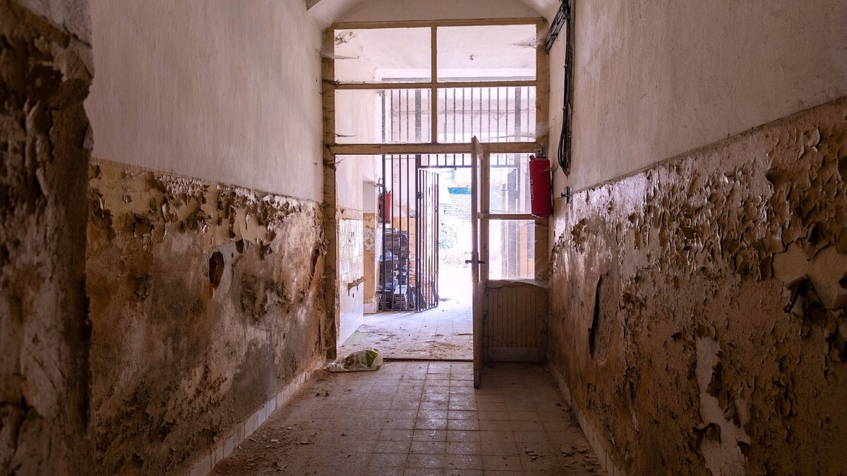 HD REALITY, predaj , investičný objekt, Hodruša Hámre — foto 11