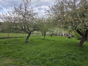 HD REALITY, na predaj, stavebný pozemok Rakytovce, 775m2, — foto 3