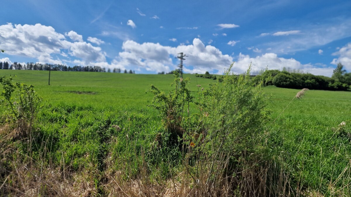 HD REALITY, Predaj, rekreačný pozemok Bobrovník, Liptovská Mara — foto 9