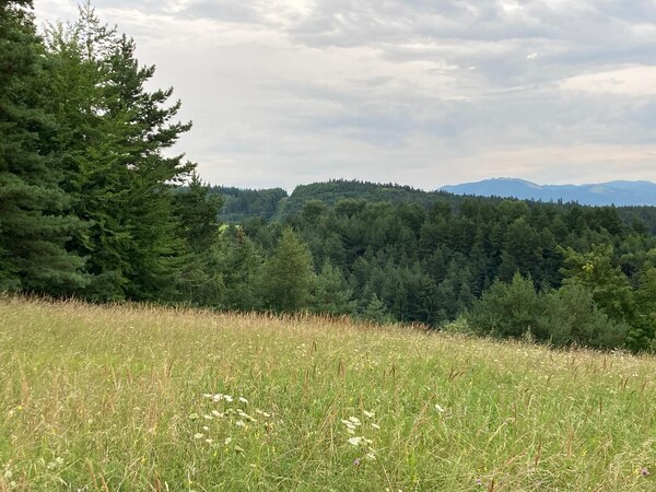 Predaj pozemku na bývanie, Banská Bystrica