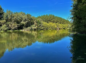 HD REALITY, predaj, rekreačný pozemok Blahová - pri Malom Dunaji — foto 9
