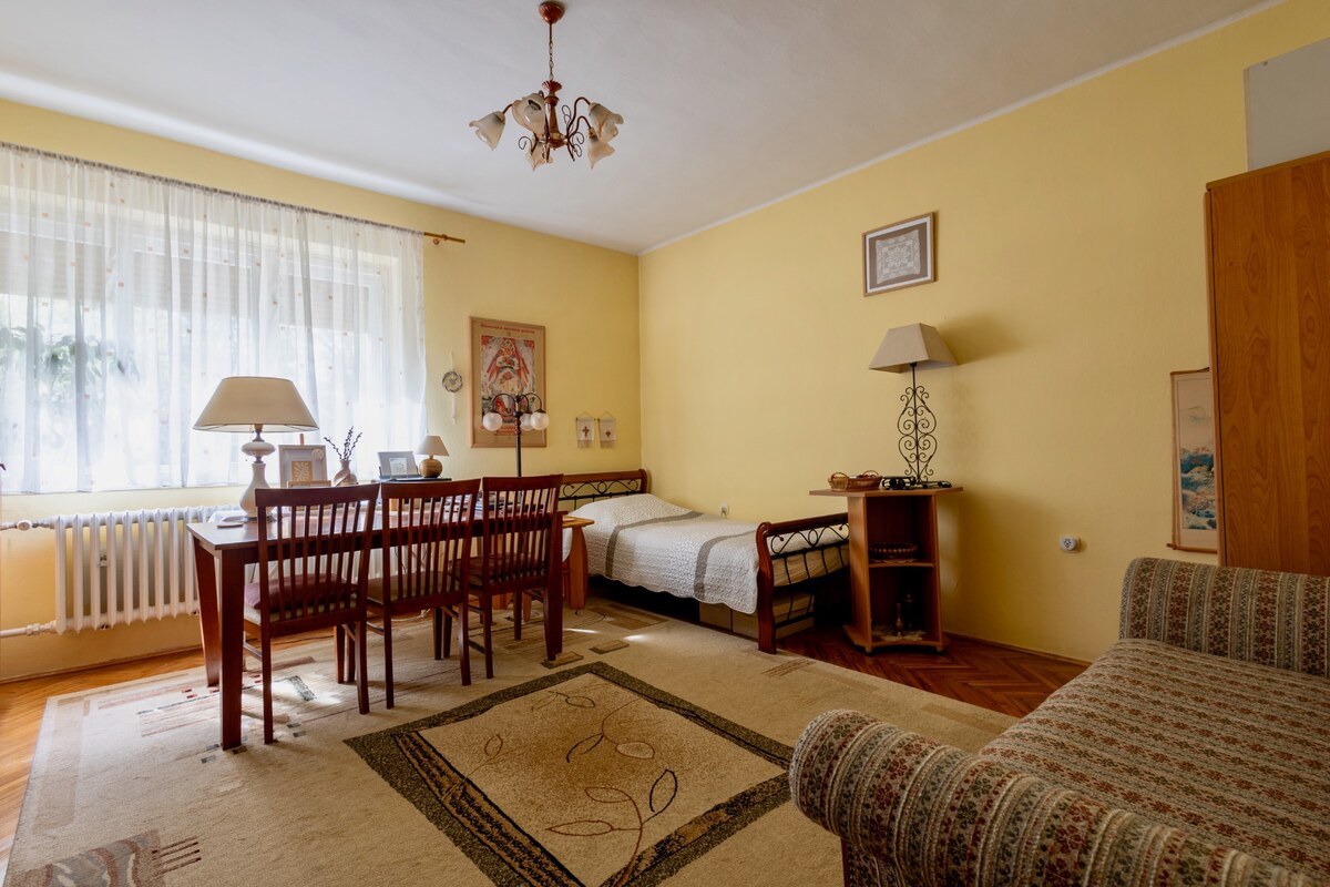Rodinný dom s takmer 30-árovým pozemkom – Michalovce, Topoľany — foto 18