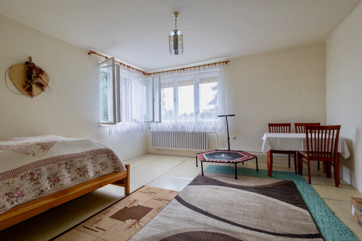 Rodinný dom s takmer 30-árovým pozemkom – Michalovce, Topoľany — foto 29