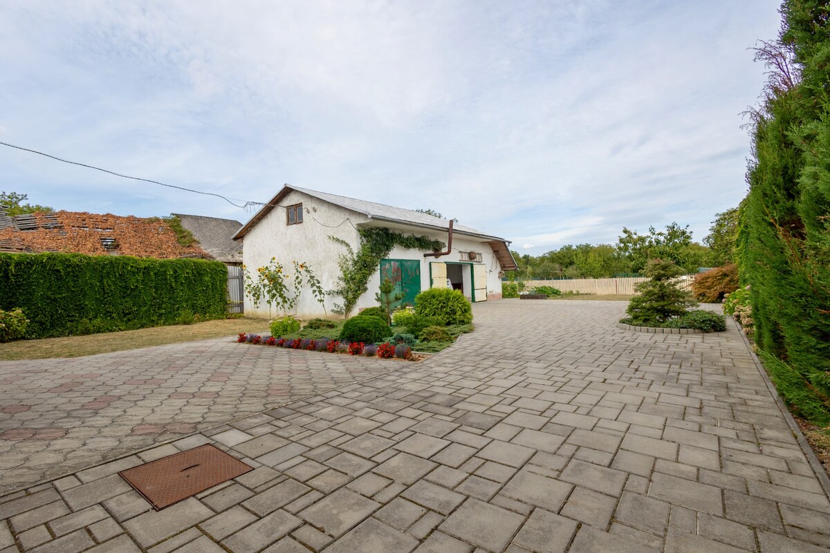 Rodinný dom s takmer 30-árovým pozemkom – Michalovce, Topoľany — foto 3